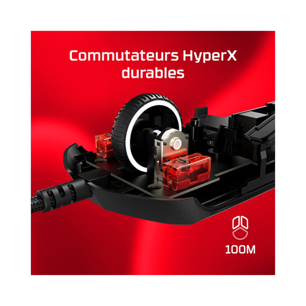 75067613