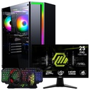 SETUP GAMER R3 3100/GT1030/16Go/256Go + 255F E20 + CMX-415