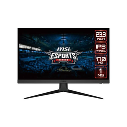 [SG-5951] MONITEUR MSI G2412